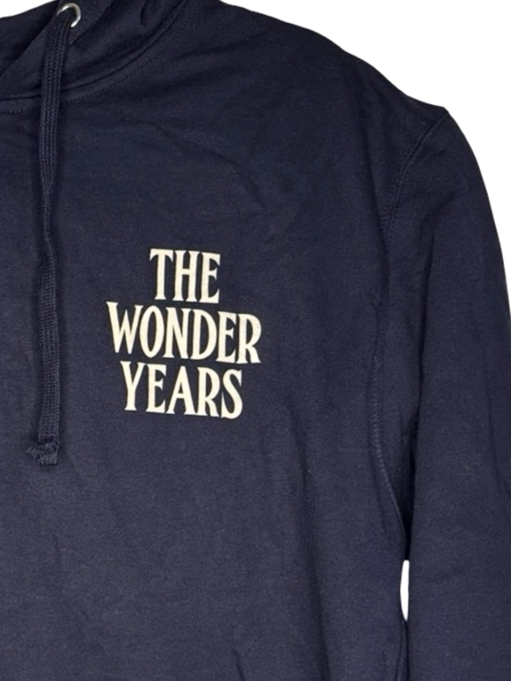 The Wonder Years - “Hoodie Weather” single promo band hoodie (L)